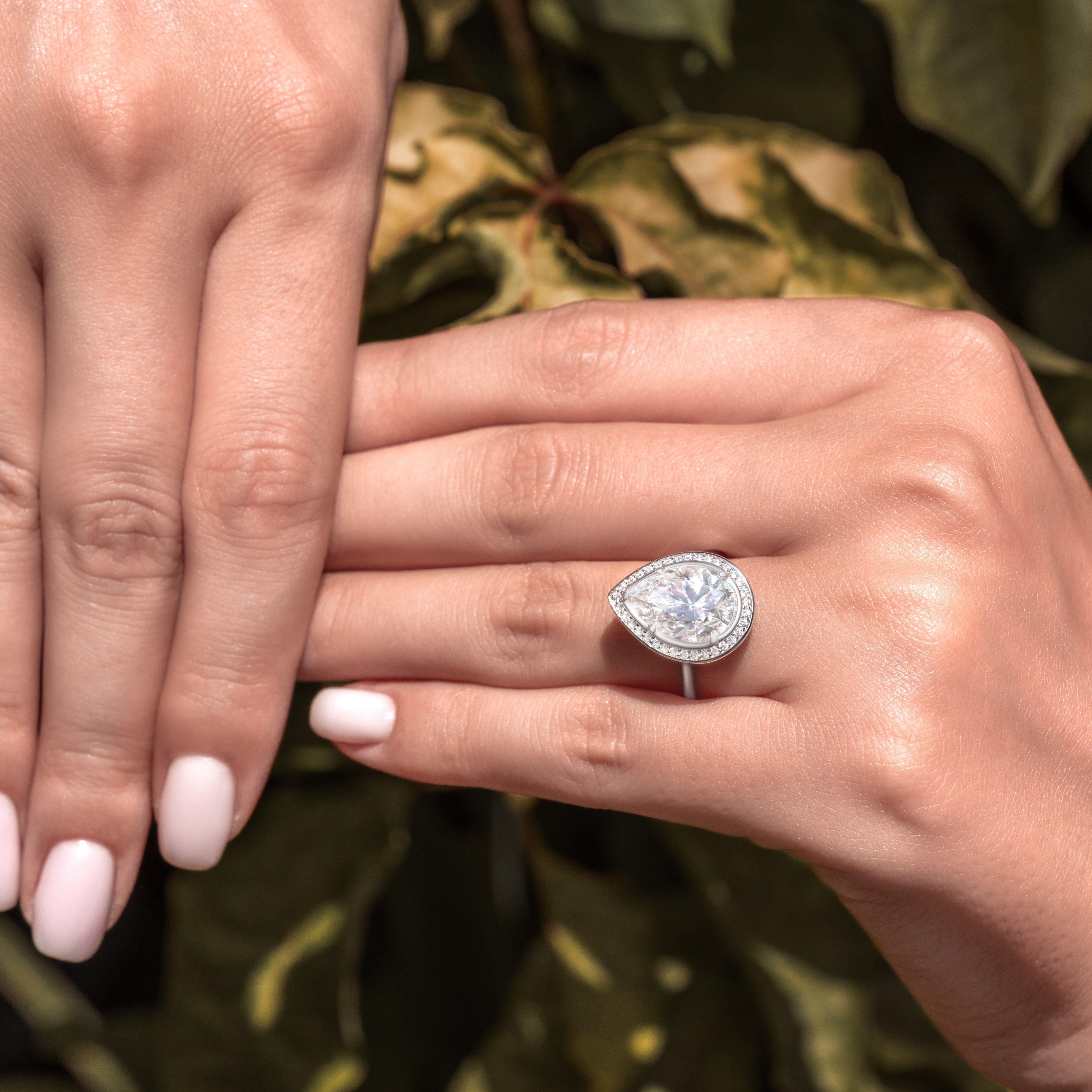 シャーロット - ゴールド