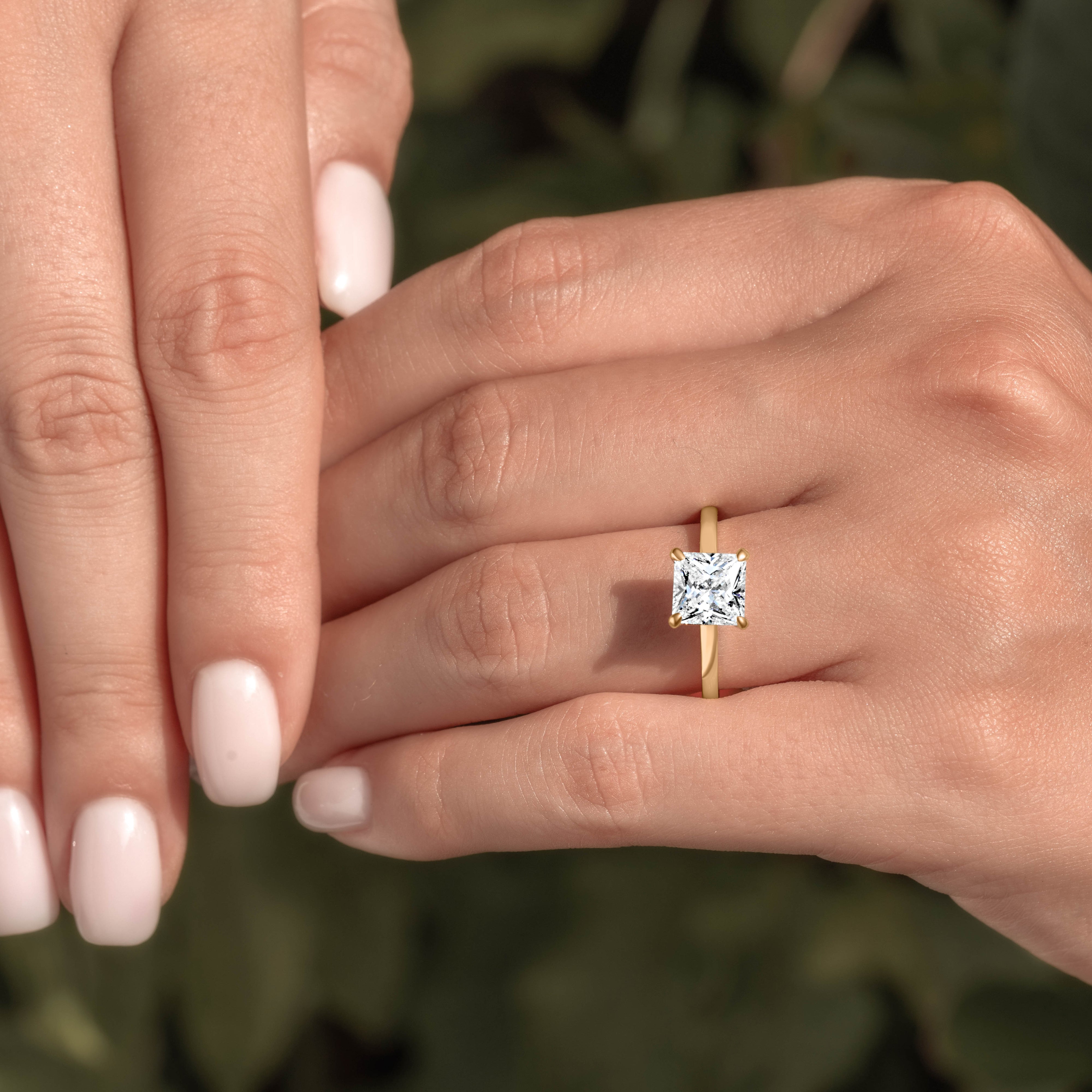 ヴァレリア - ローズ