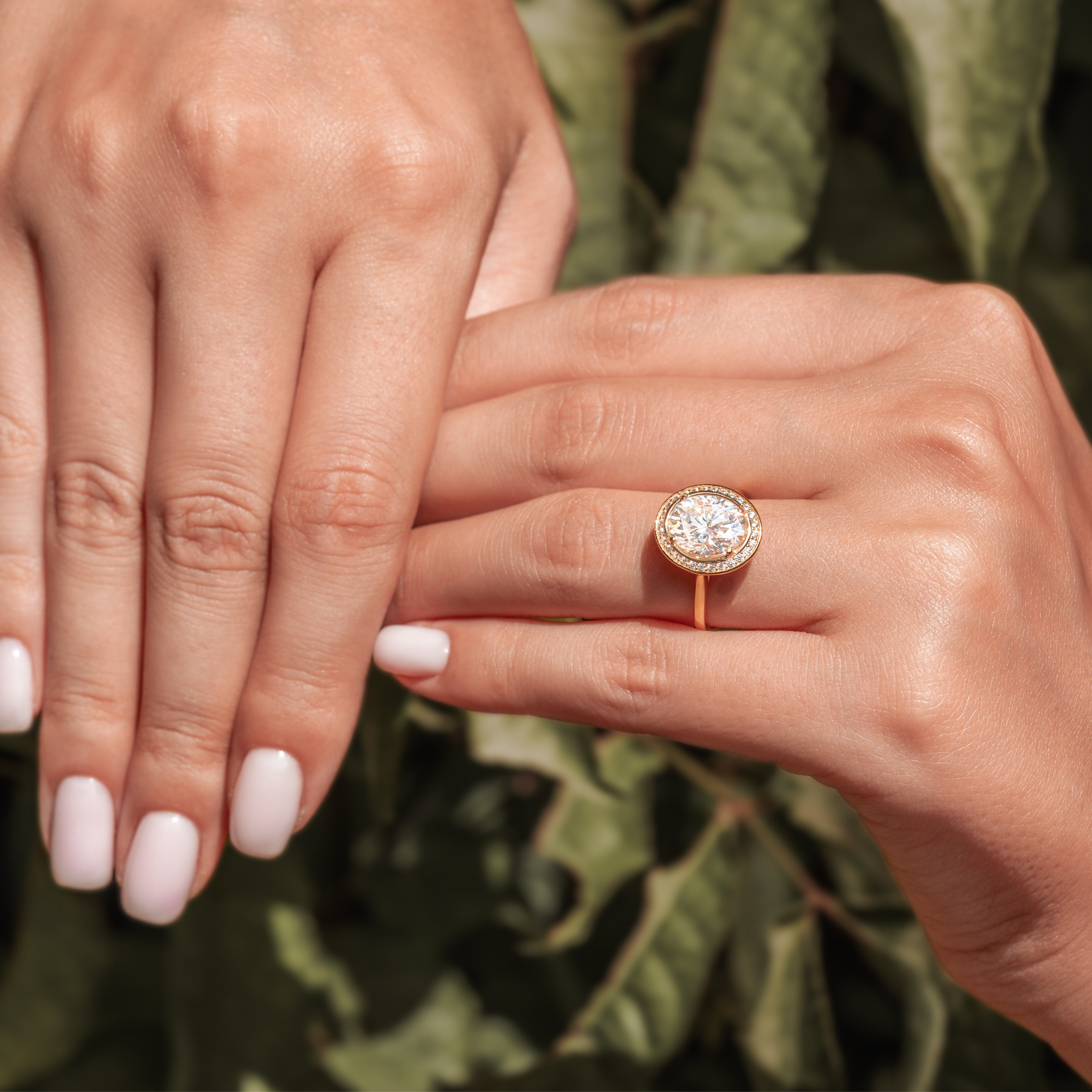 エリザベス - ゴールド