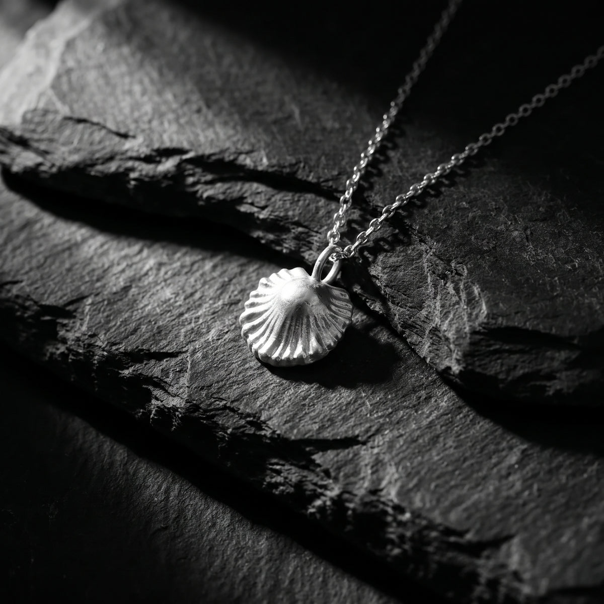 Silver scallop shell pendant necklace resting on dark slate rock in dramatic lighting.