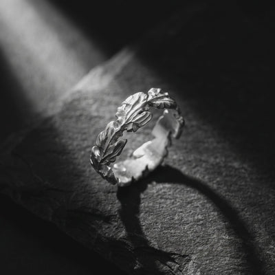 YLQ50159-rings rotation video
